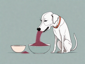 A curious dog sniffing a bowl filled with amaranth grains