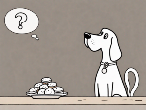 A curious dog looking at a plate of biscoff cookies on a table