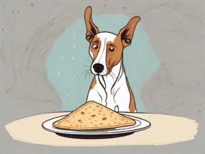 A curious dog sniffing a piece of matzah on a plate